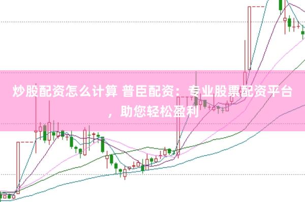 炒股配资怎么计算 普臣配资:专业股票配资平台,助您轻松盈利
