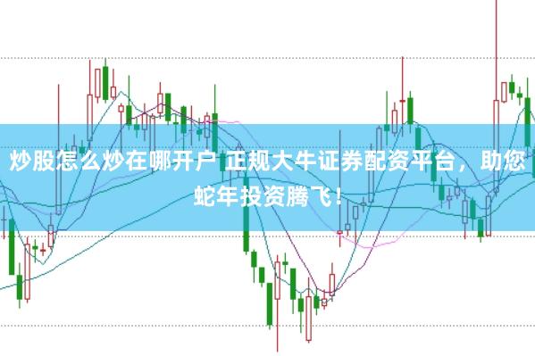 炒股怎么炒在哪开户 正规大牛证券配资平台，助您蛇年投资腾飞！