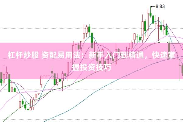 杠杆炒股 资配易用法：新手入门到精通，快速掌握投资技巧