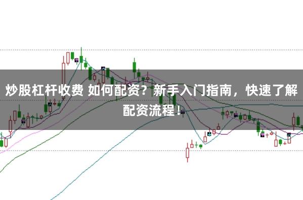 炒股杠杆收费 如何配资？新手入门指南，快速了解配资流程！